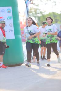 BIB: 
                            <button type="button" onclick="openModal(3653399)" class="btn btn-primary btn-sm float-right btn-popup" data-toggle="modal" data-target=".modal-high-quality">
                        <i class="fas fa-shopping-cart"></i> Add to Cart
                    </button>
                                            <button type="button" onclick="isThisMe(3653399, true)" class="btn btn-success btn-sm float-right btn-popup btn-isme hidden" data-toggle="tooltip" data-placement="bottom" title="นี่คือรูปของคุณใช่ไหม คลิกที่นี่เพื่อเอาเข้าอัลบั้ม">
                        <i class="fas fa-plus"></i> Add to album
                    </button>
                    <button type="button" onclick="isThisMe(3653399, false)" class="btn btn-warning btn-sm float-right btn-popup btn-isnotme hidden">
                        <i class="fas fa-ban"></i> Remove from album
                    </button>